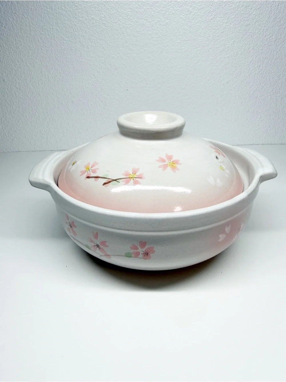 Donabe Earthernware Sakura Clay Floral Hot Pot Rice Cooker
